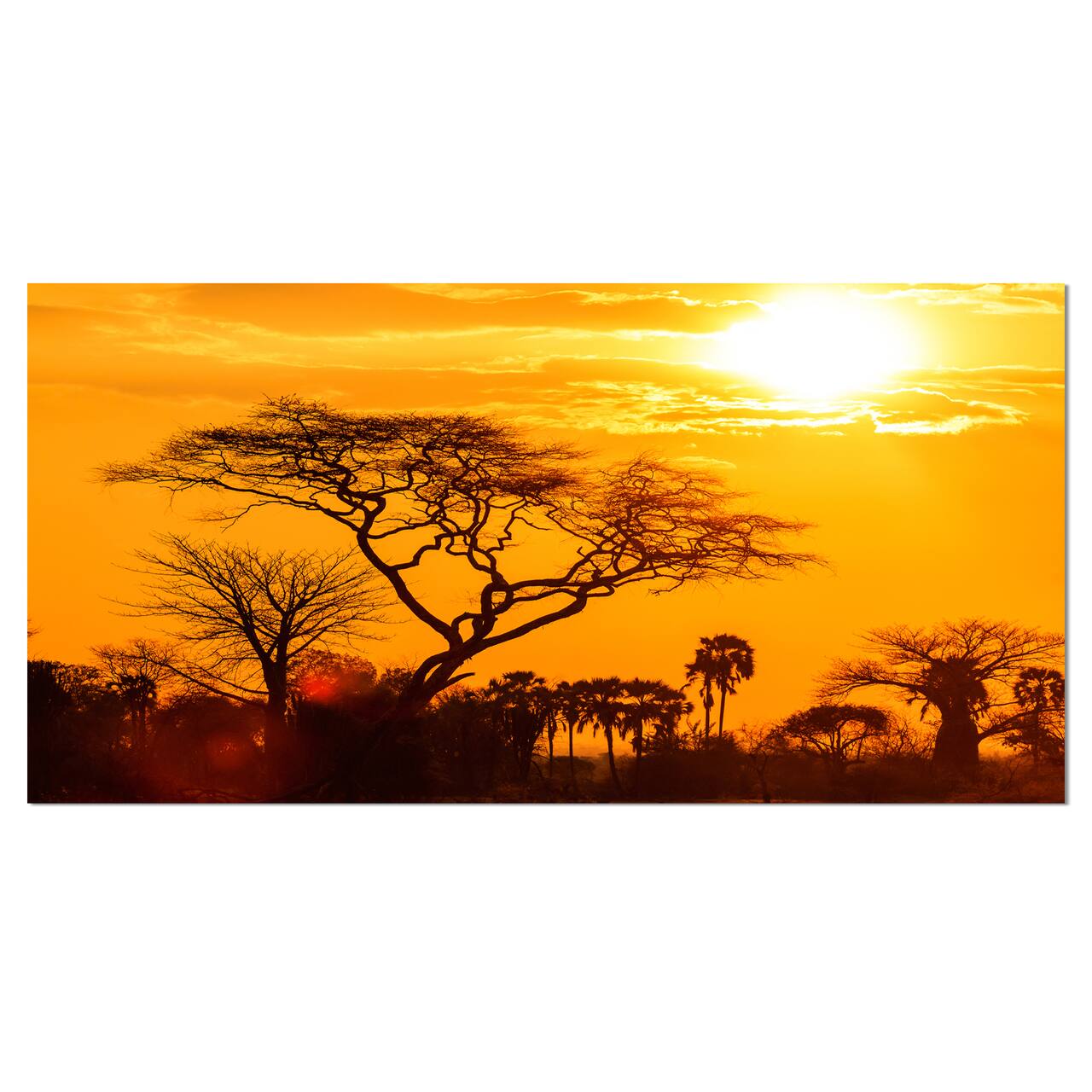 Designart - Orange Glow of African Sunset - Extra Large Wall Art Landscape